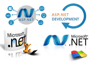 Net Development